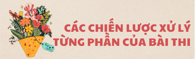 3 Bí quyết đạt điểm cao IELTS Reading tại IELTS Thanh Trà