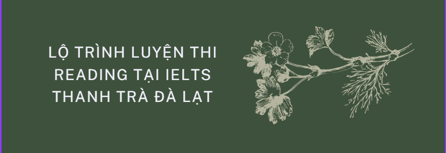 Chiến lược thi TOEIC Reading 2025 từ IELTS Thanh Trà Đà Lạt