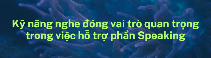 Chinh Phục TOEIC SW 2025 tại IELTS Thanh Trà Đà Lạt
