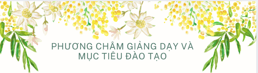 Trung Tâm Tiếng Anh Đà Lạt 2025 – Học Cùng IELTS Thanh Trà