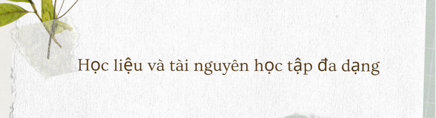 Trung Tâm IELTS Đà Lạt – Địa Chỉ Luyện Thi Uy Tín 2025